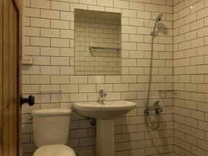 花莲市小旅行迷你公寓的一间带卫生间和水槽的浴室