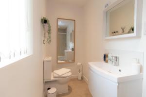 特尔福德Crescent House Apartments的一间带卫生间、水槽和镜子的浴室