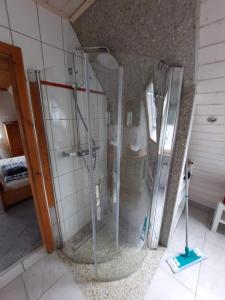 诺德施泰特Haus am Scharpenmoor的室内玻璃门淋浴