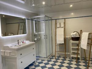 Saint-CybranetLa Belle Demeure的一间带水槽和淋浴的浴室