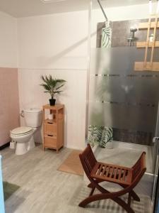 拉康提内勒Hotel la coursive的浴室设有卫生间和带椅子的淋浴。