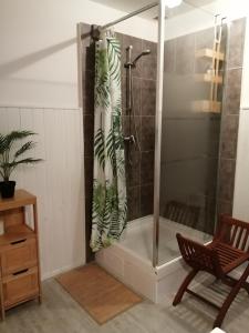 拉康提内勒Hotel la coursive的浴室里设有玻璃门淋浴