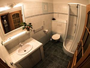 捷克斯卡利采Hotel Holzbecher Ratibořice的一间带水槽、淋浴和卫生间的浴室