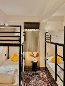 甘托克Tashila Hostel的宿舍间设有两张双层床和地毯。