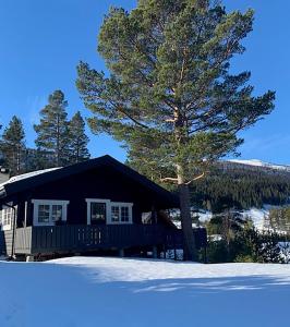 SønstebøUvdalhytta - close to cross country and downhill skiing的雪中树的小木屋