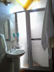 康考迪亚CHE RAJY的一间带水槽和淋浴及窗户的浴室