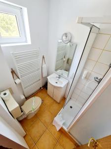 普雷代亚尔Casa RAI的享有带卫生间和水槽的浴室的顶部景致