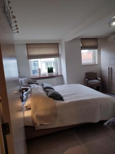 克诺克－海斯特Le Knok'Koon Un cocon à Knokke avec garage et emplacement gratuits的一间卧室设有两张床和两个窗户。
