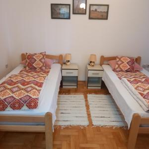 克鲁舍瓦茨Apartman Domina的两张睡床彼此相邻,位于一个房间里