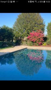 Bougé-ChambaludGîte cocooning avec piscine的一片水池,花朵和树木粉红色