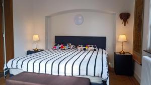 布鲁日HIDDEN GEM Centre of BRUGES free PARKING的一间卧室配有一张大床和两盏灯