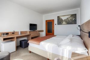 皮耶什佳尼Ensana Splendid的一间卧室配有一张床、一张书桌和一台电视