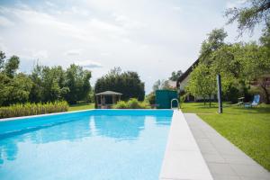 克拉根福Schlossgut Gundersdorf的一座房子的院子内的游泳池