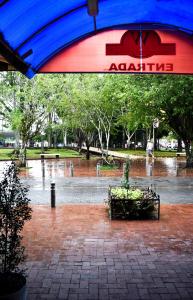 弗朗西斯科德奥雷利亚纳港Hostal R. Williams的雨中公园长凳上的雨伞