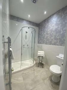 爱丁堡West End Townhouse的带淋浴和卫生间的浴室