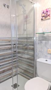 贝洛拉多Pension Toñi的带淋浴和卫生间的浴室