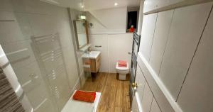利明顿Stunning Luxury Apartment in Central Lymington的带淋浴和卫生间的小浴室