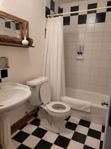 朱利安Oak Hill Inn的浴室配有卫生间、盥洗盆和淋浴。