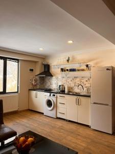 博尔若米Woodland Borjomi的厨房配有洗衣机和烘干机