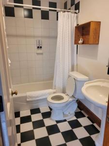 朱利安Oak Hill Inn的一间带卫生间和水槽的浴室