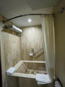 萨卡特卡斯Arroyo Express的带淋浴和浴帘的浴室