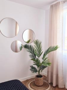 伊伦Apartamento Nicores Bidasoa的卧室的墙上挂有植物和镜子