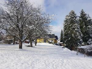 新安斯波HAUS Madelaine的一座有树和房子的雪地覆盖的院子