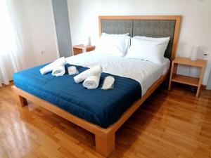 雅典EstellApartments的一张带蓝色毯子和白色枕头的床