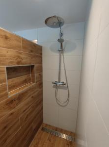 佐特兰德Luxe Kamer aan Zee的带淋浴的浴室(带木墙)