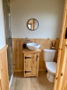 里士满Lowgingerfield Shepherd Hut的一间带水槽、卫生间和镜子的浴室