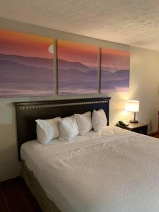 路易斯威尔路易斯维尔博览中心/机场戴斯酒店的一间卧室配有一张壁画床