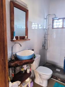 斯基灵角Villa Nemocotier的一间带卫生间、水槽和镜子的浴室