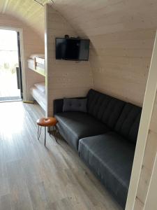 沃柏斯Vorbasse camping的带沙发和平面电视的客厅