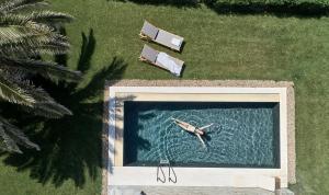 帕拉斯波罗斯伊莉亚岛精品酒店及水疗中心 的游泳池的顶部景色,水面上设有冲浪板