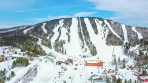 Val-BrillantLe Chal'heureux, ski & spa, ski-in ski-out的雪覆盖的山中,有滑雪胜地