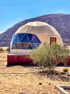 瓦迪拉姆Adel rum camp bubbles的沙漠中的一个圆顶帐篷