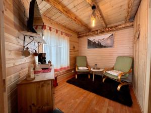 彼得罗沙尼Chalet Nomad的小屋内的房间,配有两把椅子和一张桌子