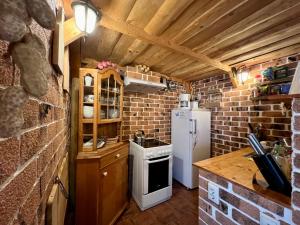 彼得罗沙尼Chalet Nomad的厨房配有炉灶和冰箱。