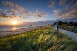 佐特兰德Luxe Kamer aan Zee的海滩上阳光在水中和草地上