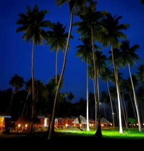 布莱尔港The Andaman Sunset View Resort的一群棕榈树在晚上