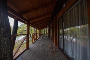 诺沃莫斯科维斯卡Lake Park的树屋的遮盖门廊