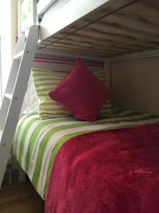 纽卡斯尔Apiary Mews的一间卧室配有一张带红色枕头的双层床