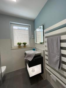 格洛韦Villa Am Meer Glowe Apartment EG的一间带水槽和卫生间的浴室以及窗户。