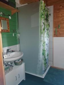 乎尔博赫Hof Idarwald的一间带水槽和淋浴的浴室