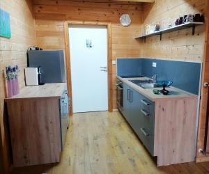 乎尔博赫Hof Idarwald的厨房配有冰箱和带水槽的台面