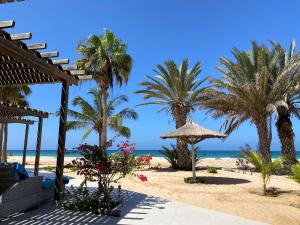 CabeçadasVila Mare - Praia de Chaves frontline的棕榈树海滩和海洋