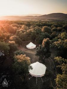 Saint-Michel-lʼObservatoireLodg'ing Nature Camp Luberon的两顶帐篷位于树木林地的中间