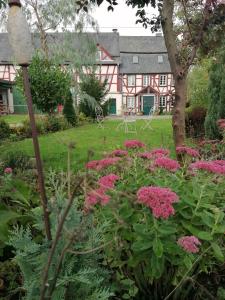 乎尔博赫Hof Idarwald的一座花园,在房子前方种有粉红色的花朵