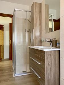 莱维科特尔梅Appartamento Verdebleu - Lago e Terme的一间带水槽和淋浴的浴室