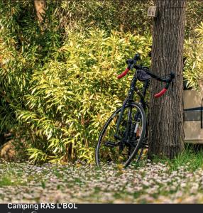 奥尔梅托RAS L'BOL的自行车停在树旁
